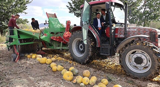 Nevşehir Belediyesi 1. Kabak Çekirdeği Festivali yapıldı.