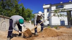 Selçuklu’da Yeşil Doku Güçlendiriliyor